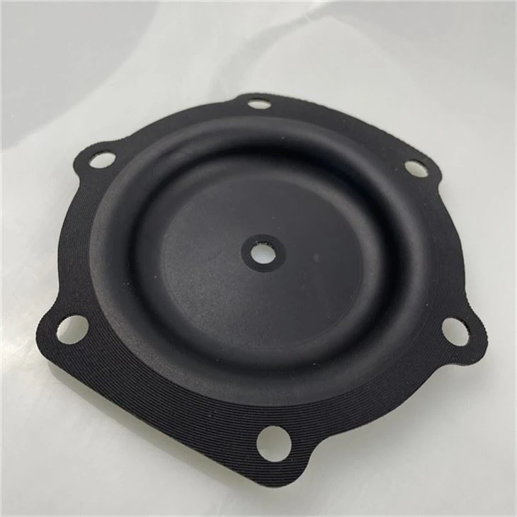 rubber diaphragm
